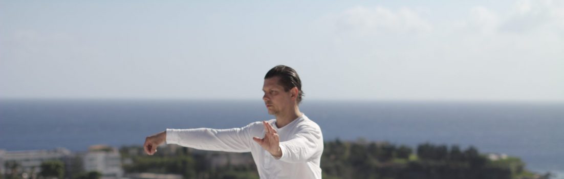 Zendokan - Tai Chi, Hsing I, Ba Gua